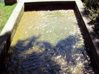 photos 2000-200902706